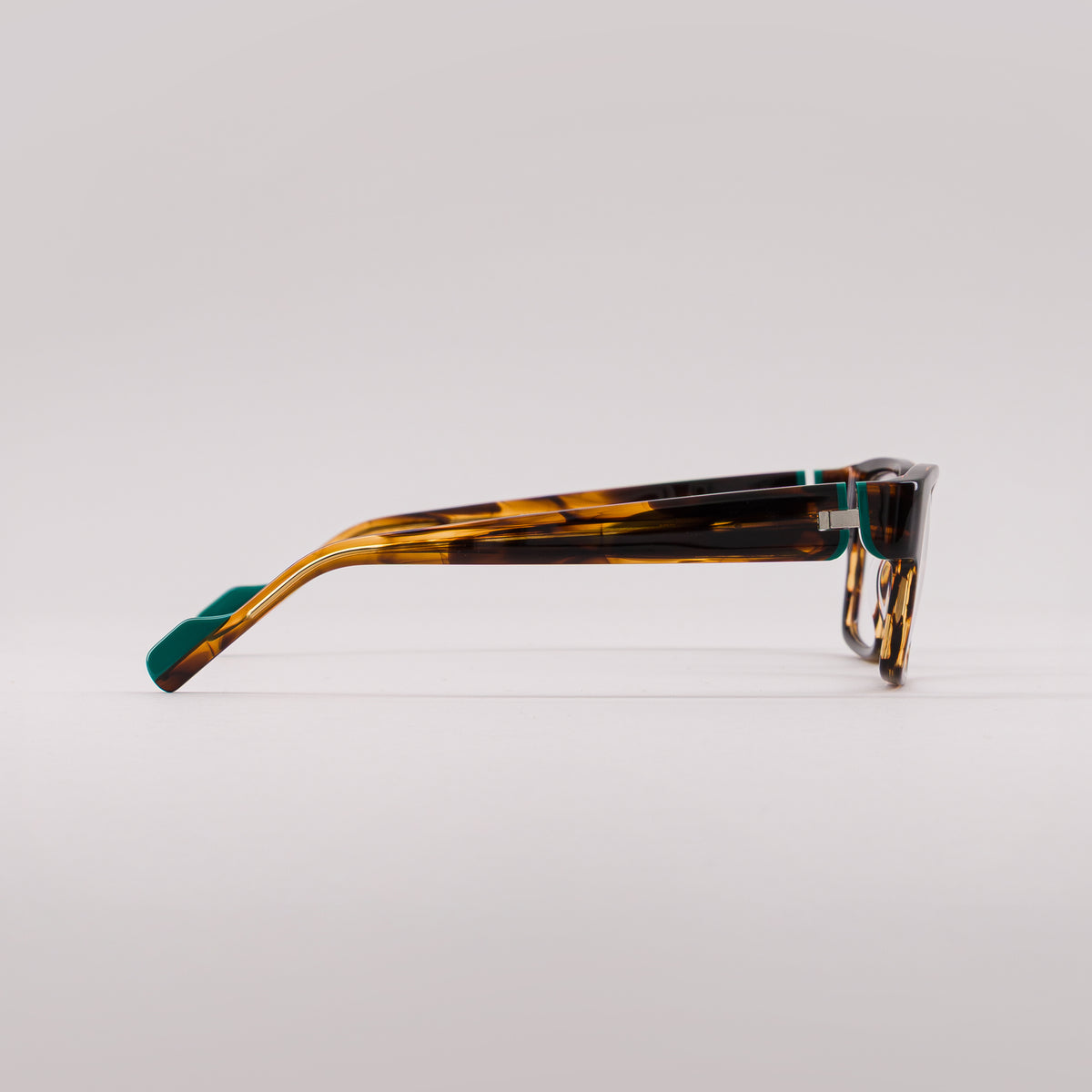 #color_Tortoise shell and green