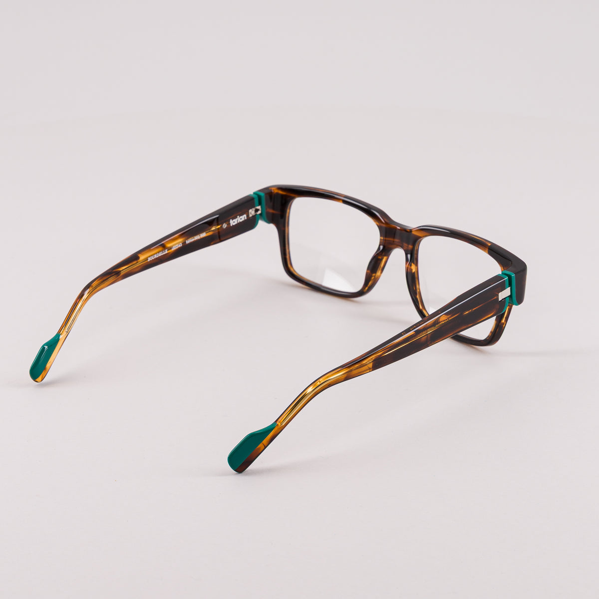 #color_Tortoise shell and green