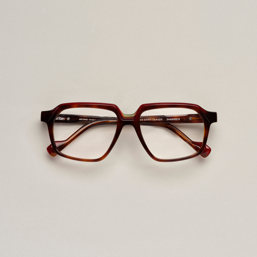 Tarian-Rue-Saint-Claude-large-rectangle-eyewear-burgundy-turtleshell-green