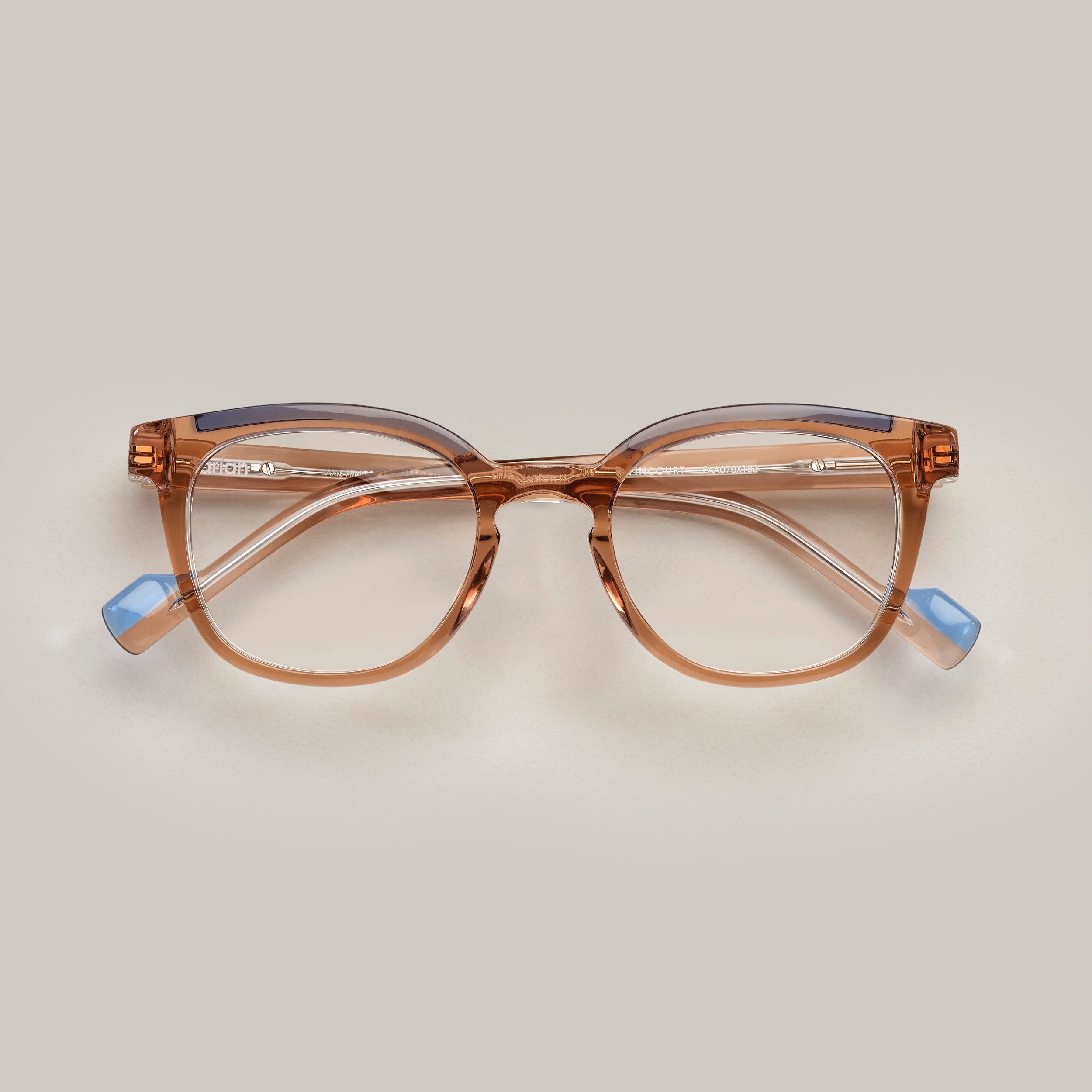 Tarian-Popincourt-pantos-eyewear-light-clear-brown-blue