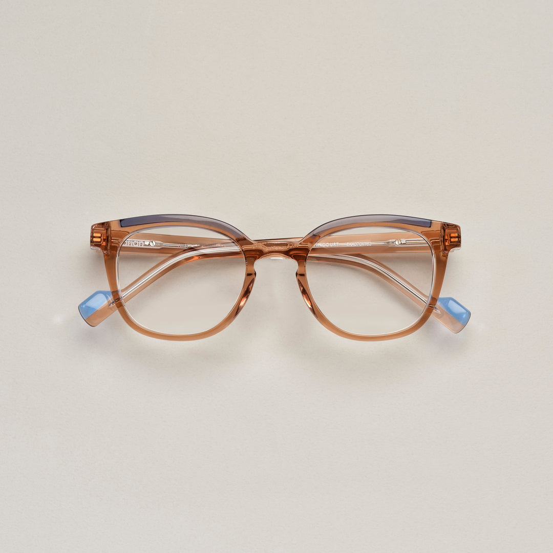 Tarian-Popincourt-pantos-eyewear-light-clear-brown-blue