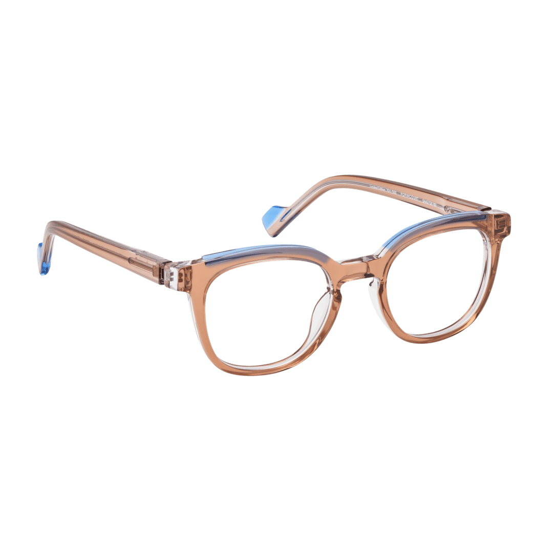 Tarian-Popincourt-pantos-eyewear-light-clear-brown-blue