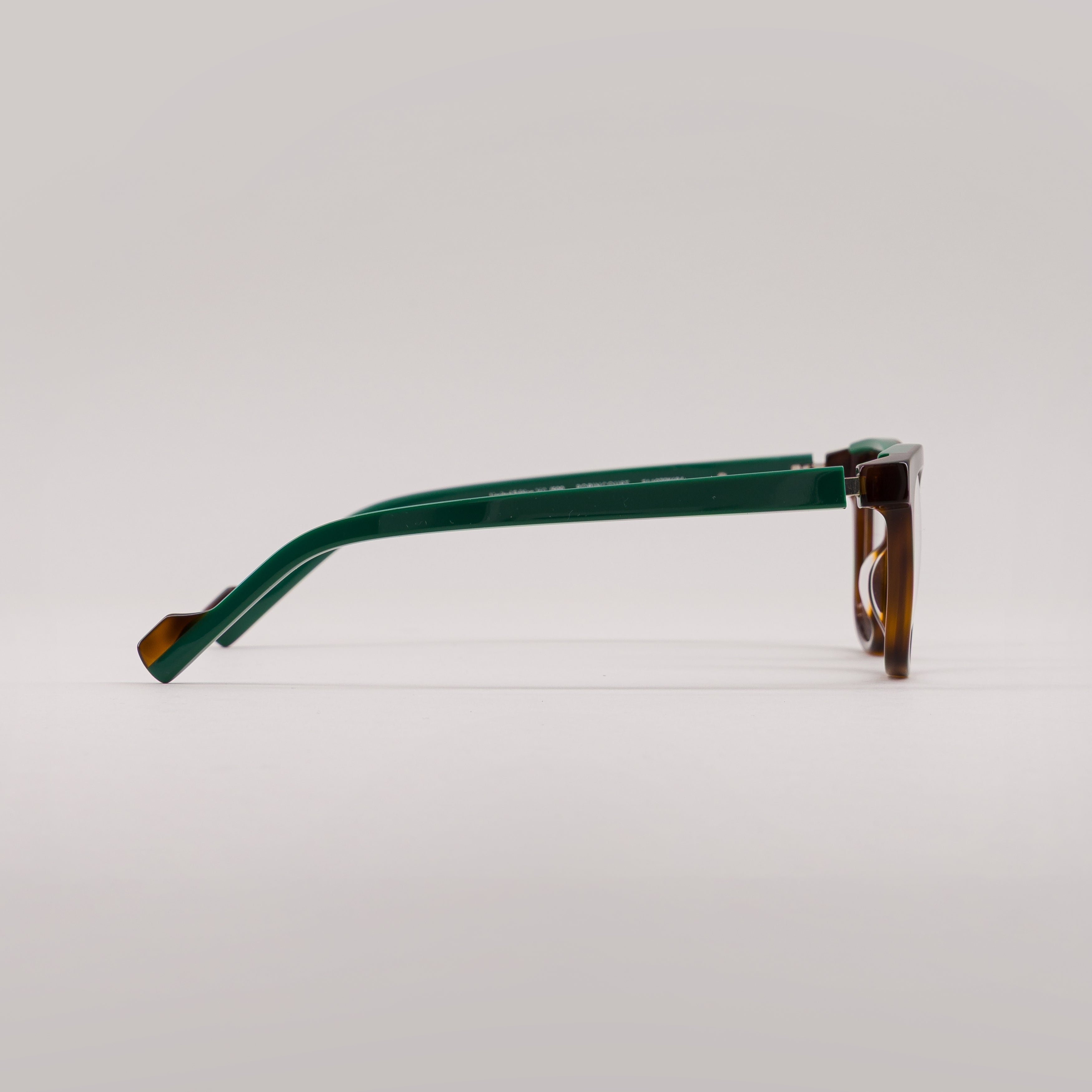 #color_tortoise shell green