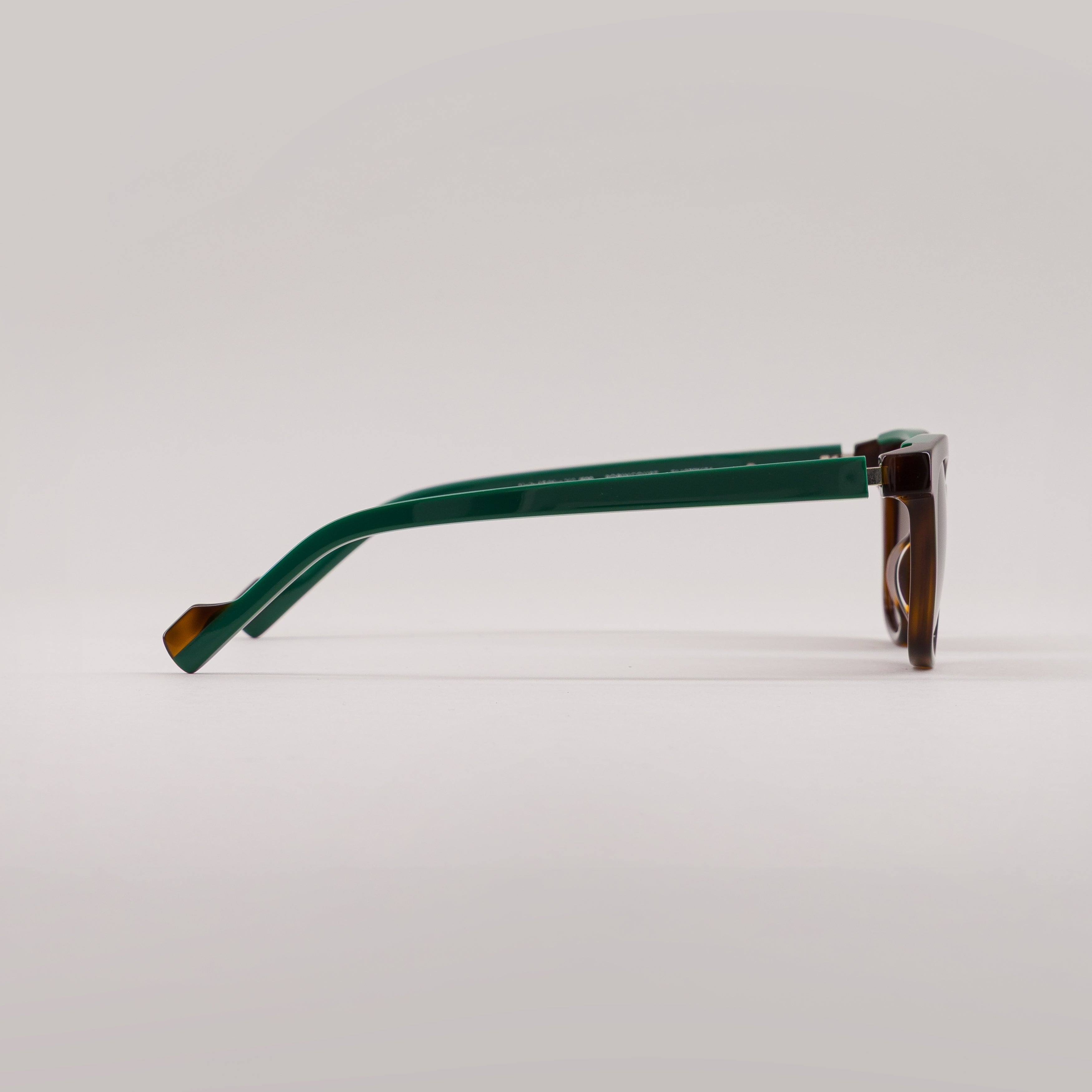 #color_tortoise shell green