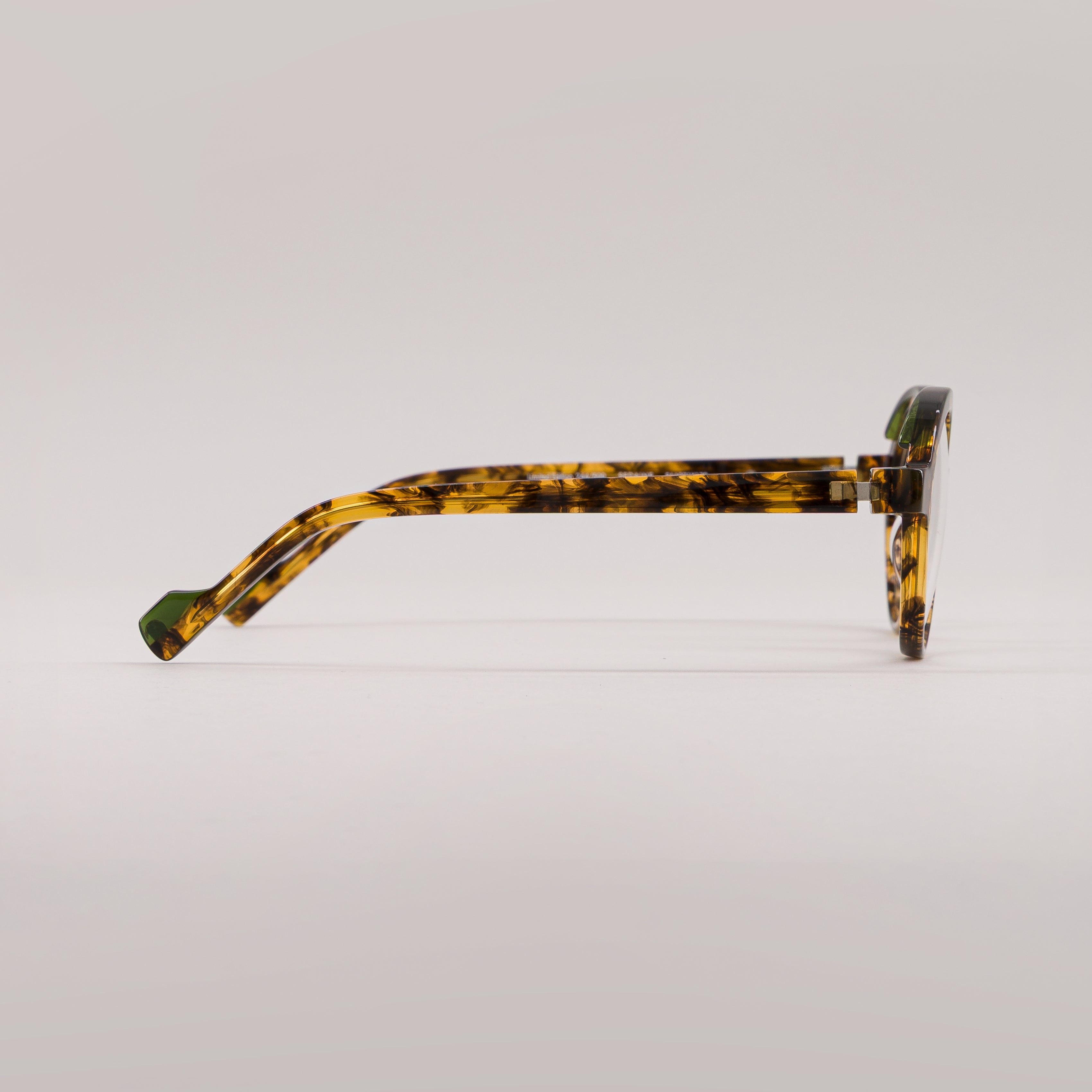 #color_tortoise shell green