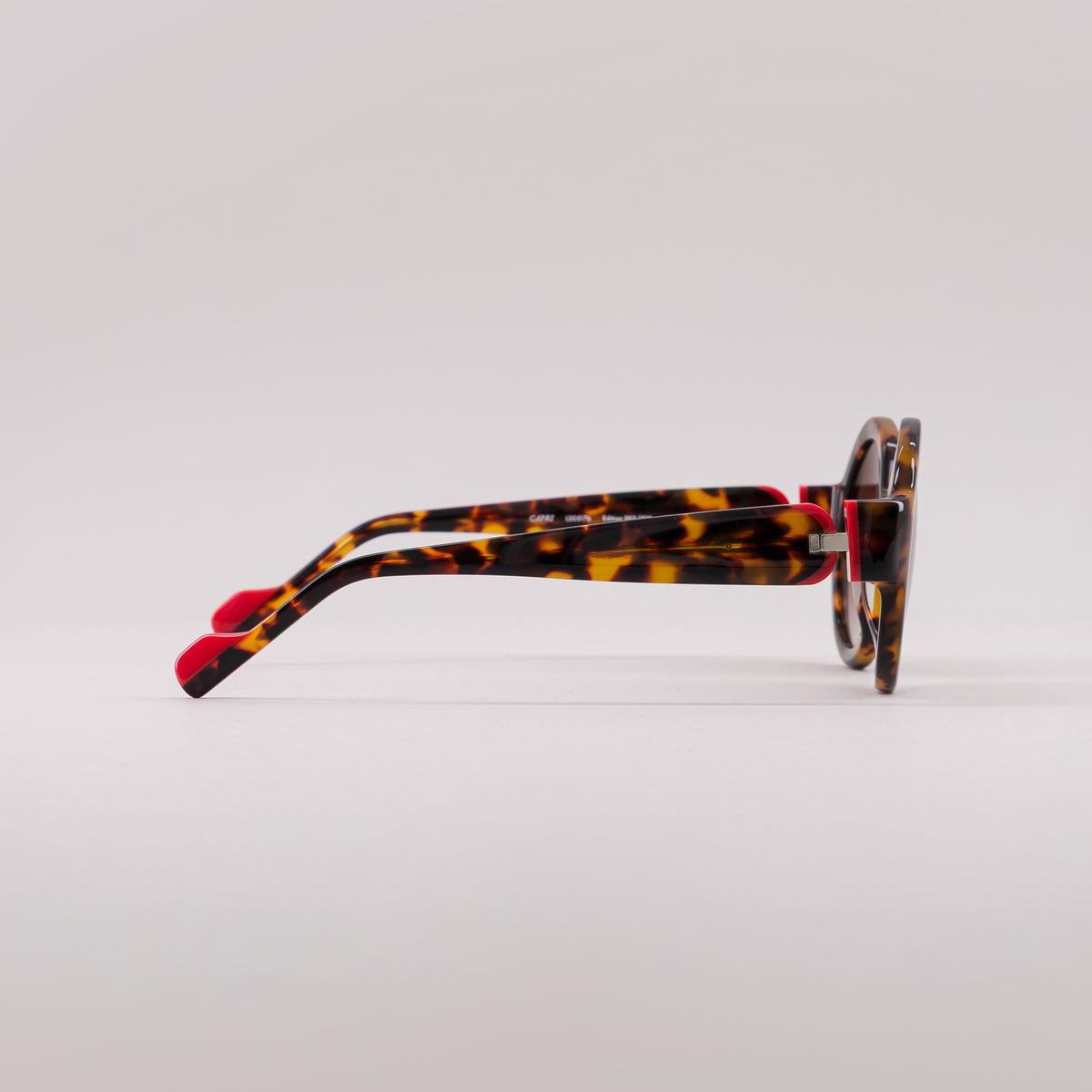 #color_Tortoise shell and coral