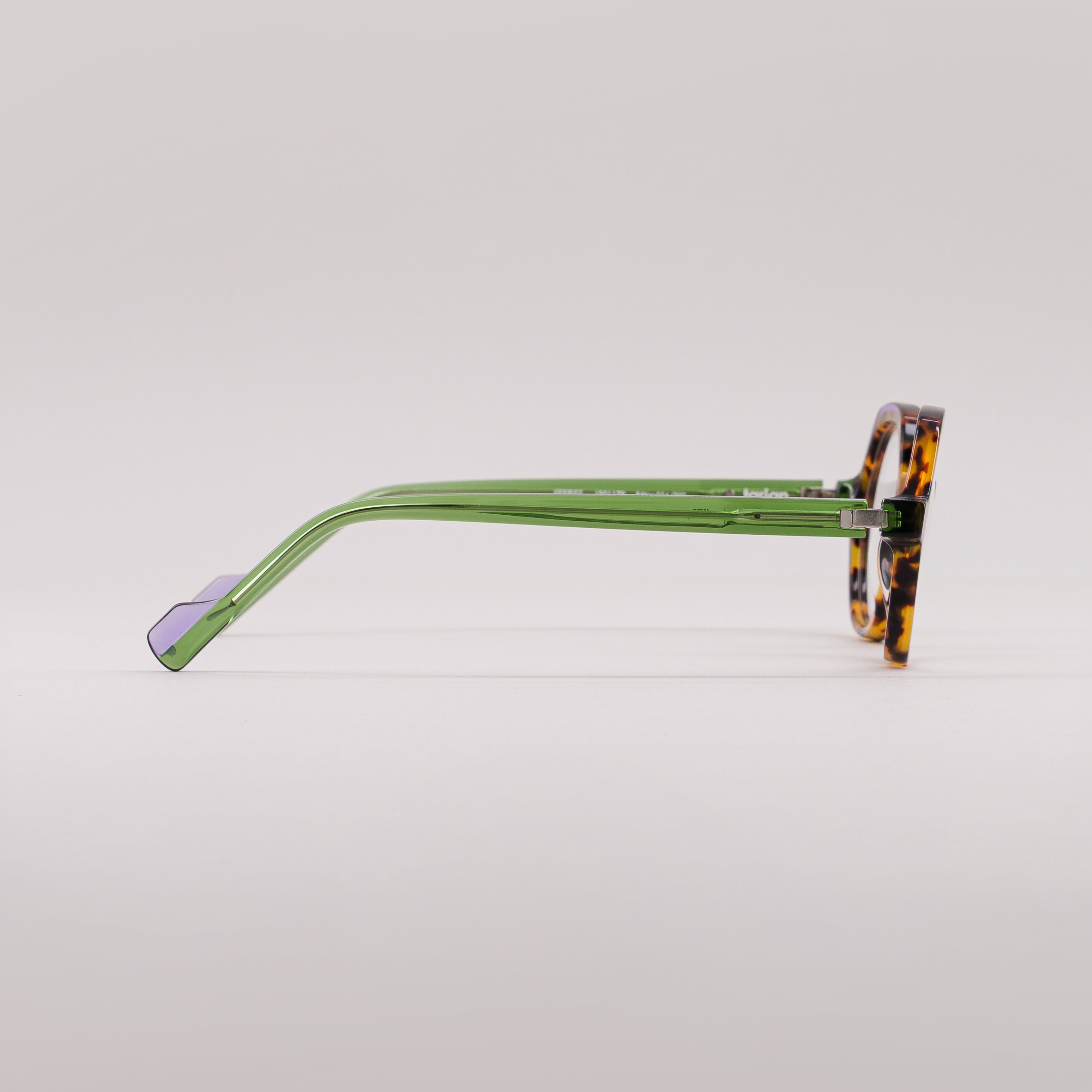 #couleur_Écaille et vert