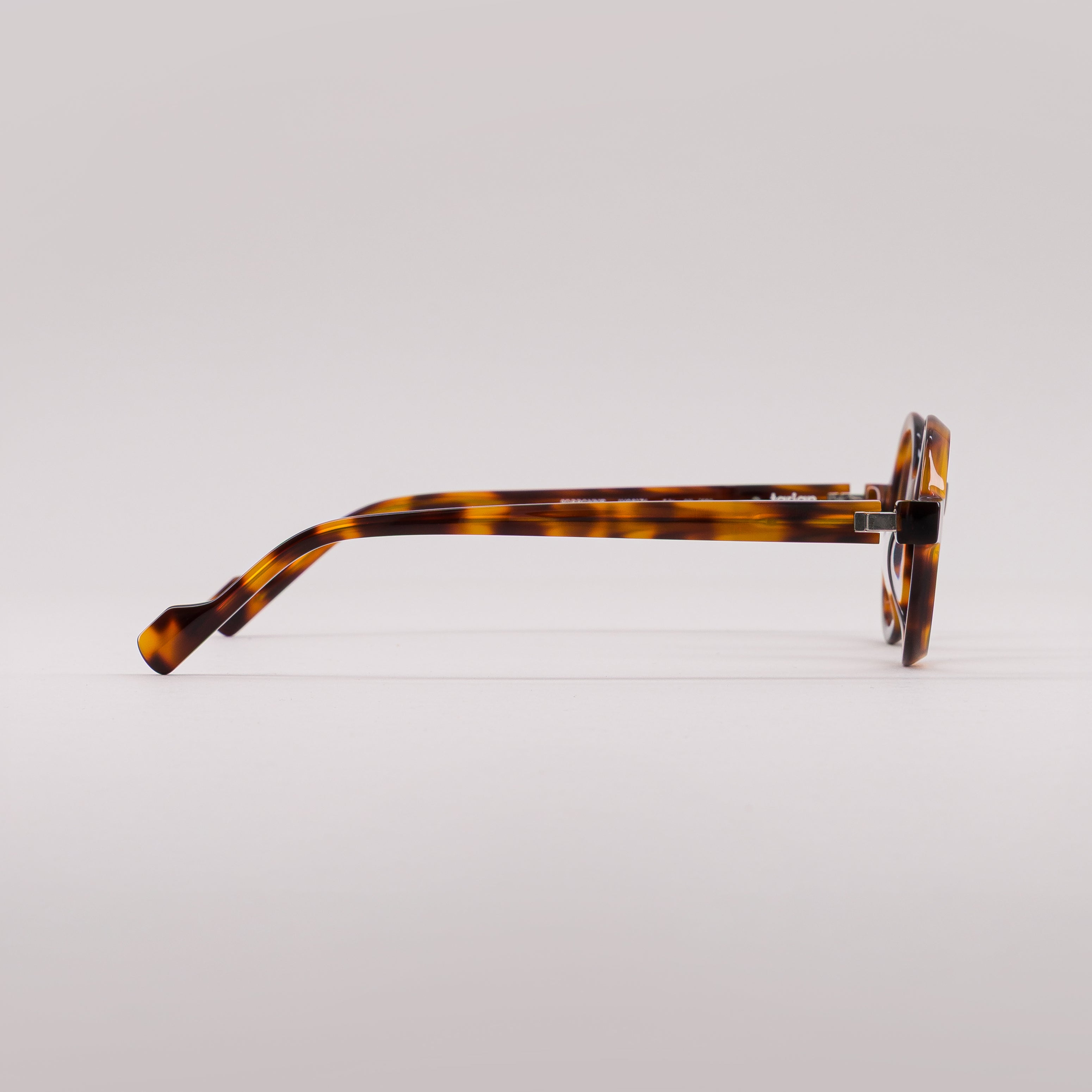 #color_Tortoise shell