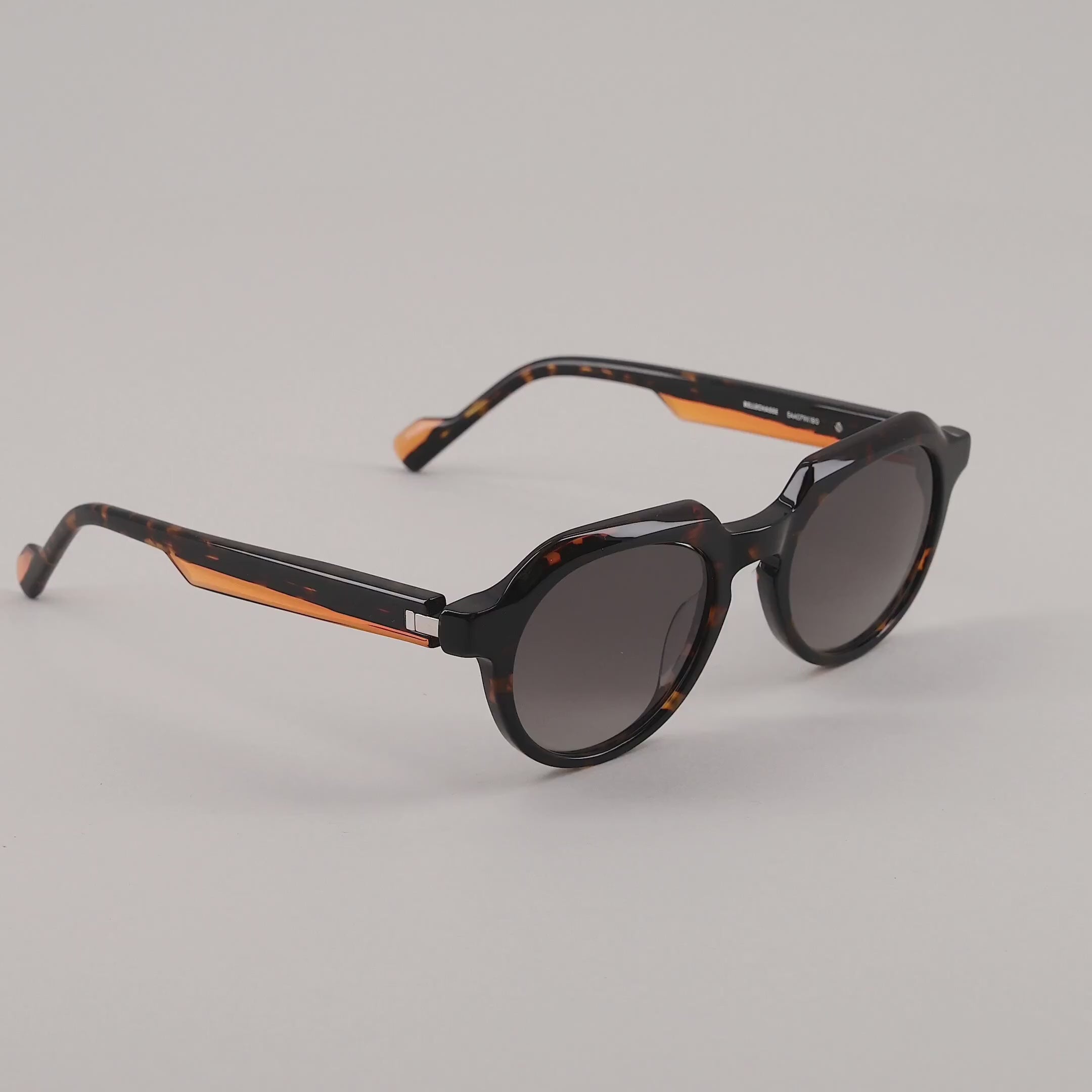 #color_Tortoise shell and orange