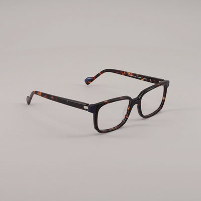 #color_Tortoise shell and blue