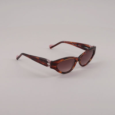 #color_Tortoise shell and mustard