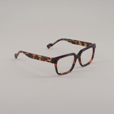 #color_Tortoise shell and blue