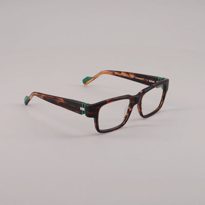 #color_Tortoise shell and green