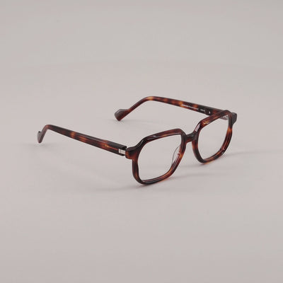 #color_Tortoise shell and grey